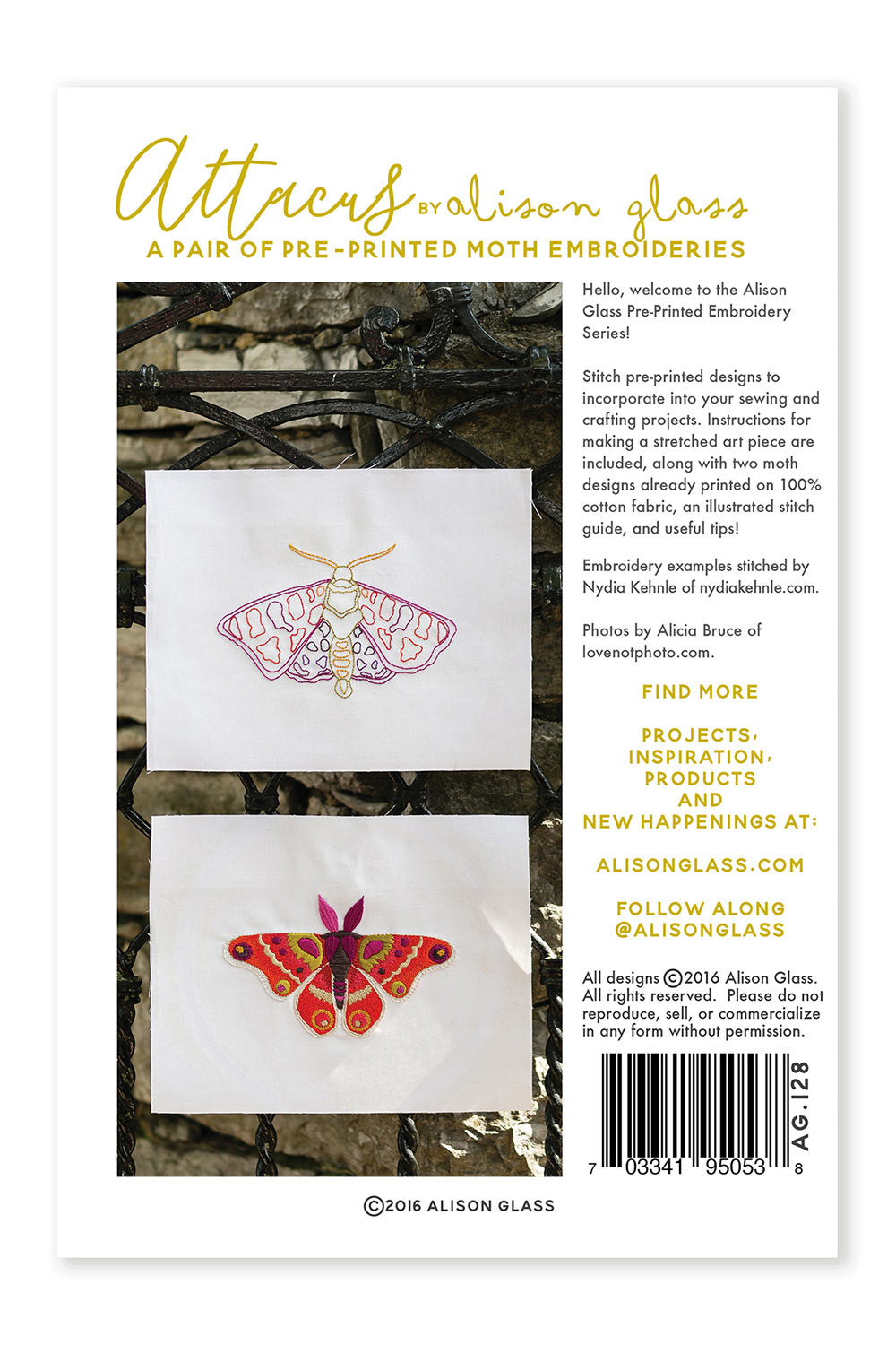 attacus pattern front