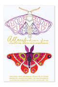 attacus pattern front