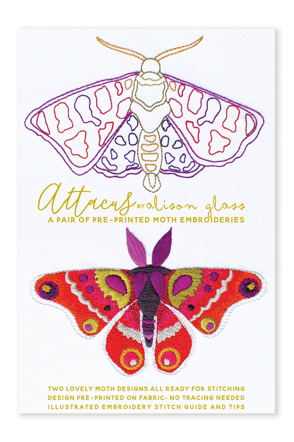 attacus pattern front
