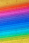 PRESALE - Color Camp Basics Bundles - Hue