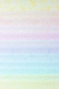 PRESALE - Color Camp Basics Bundles - Lightest