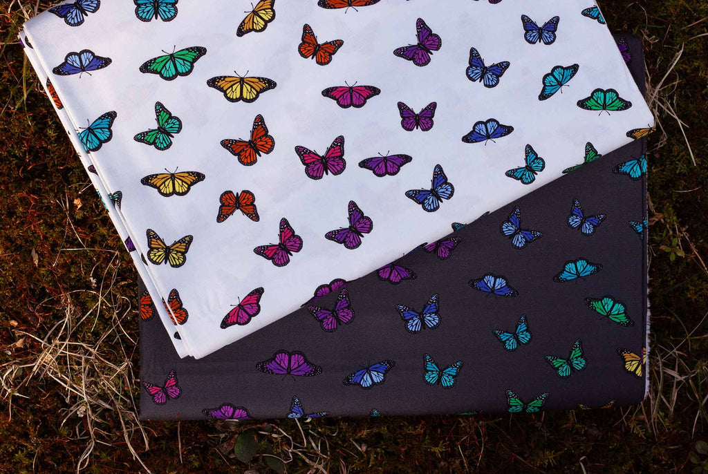butterfly rainbow in night and day from color wheel