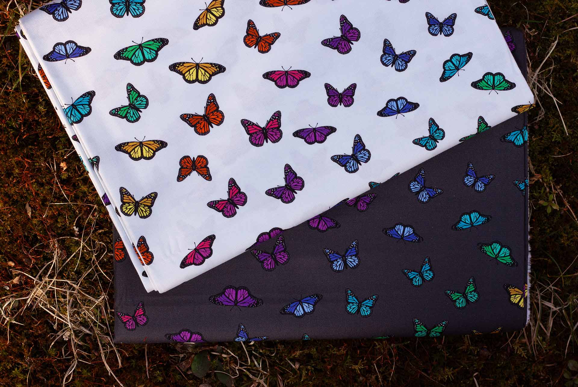 butterfly rainbow in night and day from color wheel