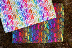 spectrum feathers in night and day from color wheel
