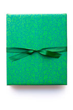 holly gift wrap