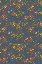 sun print 2026 equanimity in dark