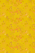 sun print 2026 equanimity in latern