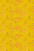 sun print 2026 equanimity in latern
