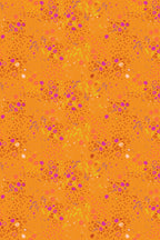 sun print 2026 equanimity in squash