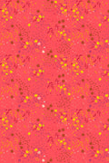 sun print 2026 equanimity in strawberry