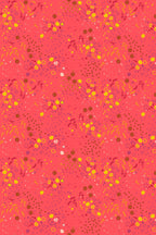 sun print 2026 equanimity in strawberry