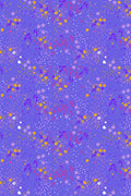 sun print 2026 equanimity in tanzanite