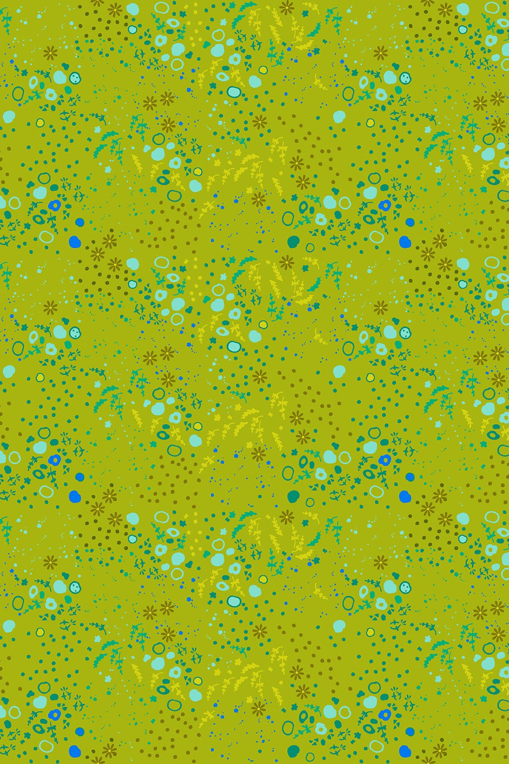 sun print 2026 equanimity in toad