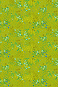 sun print 2026 equanimity in toad