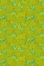 sun print 2026 equanimity in toad