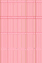 sun print 2026 ledger in grapefruit